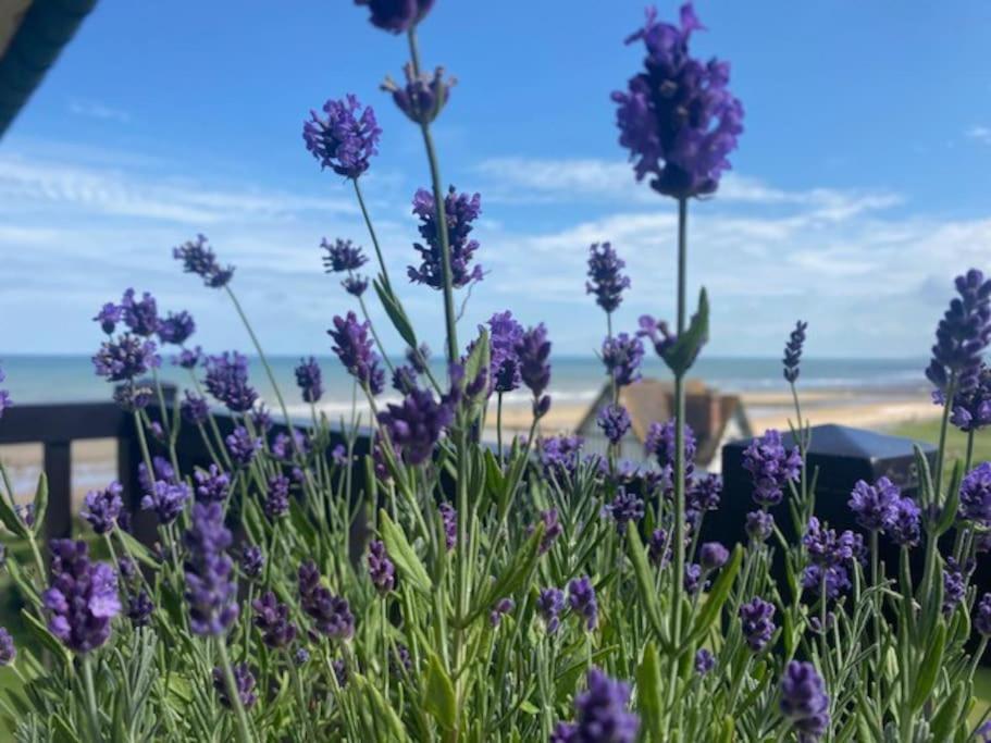 Sur La Plage / Enjoy The Beach Daire Cabourg Dış mekan fotoğraf
